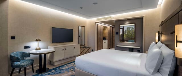 Queen Room - Accessible · photo 5