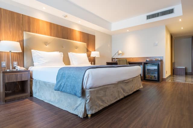 Deluxe Plus Double Room · photo 1