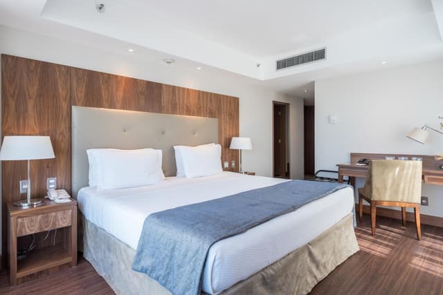 Deluxe Plus Double Room · photo 3