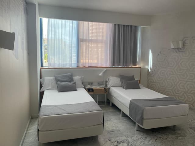 Double or Twin Room without Balcony - Disability Access · photo 6