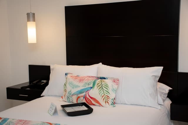 Standard Double Room · photo 4