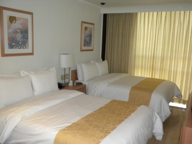 Economy Double Room · foto 2