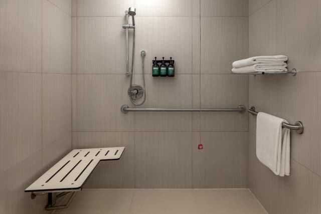 Deluxe King Room with Plaza View - Theme Park Access/Accessible · photo 5