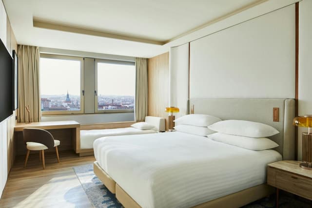 Panoramic Superior King Room with City View · photo 6