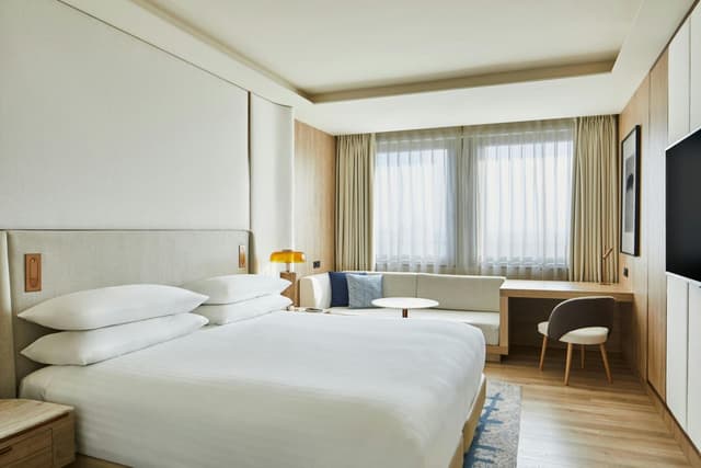 Superior King Room with City View · photo 5