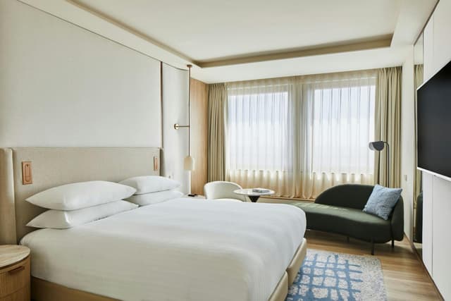 Superior King Room with City View · photo 6