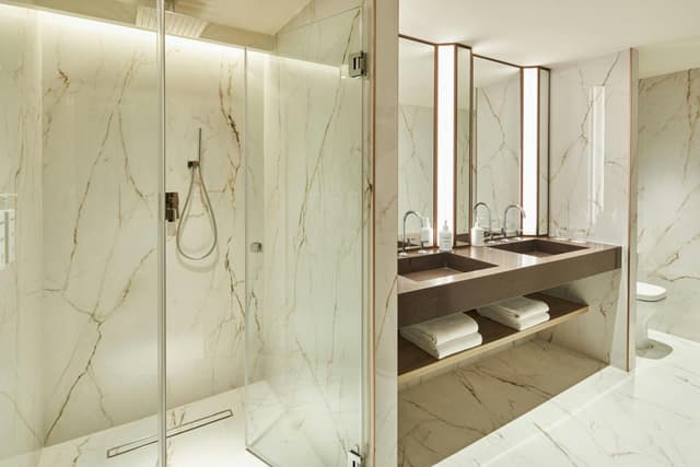 Panoramic Superior King Room with City View · photo 7