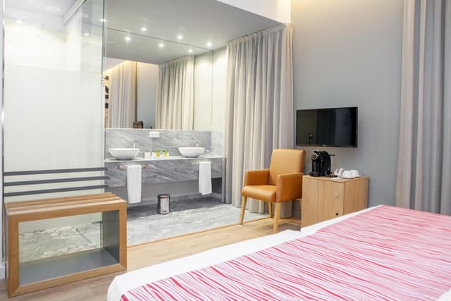 Double or Twin Room · photo 5
