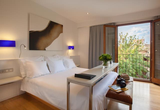Deluxe Double Room · photo 5
