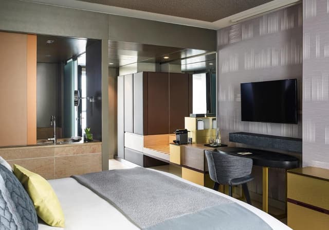 Superior King or Twin Room · photo 5