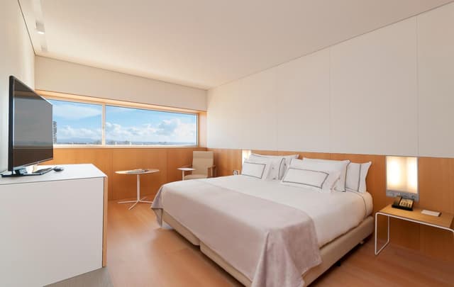 Deluxe Double or Twin Room · photo 7