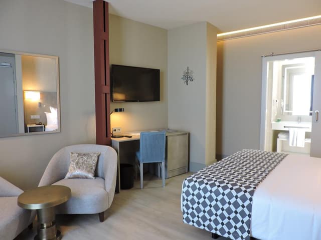Deluxe Double or Twin Room with Terrace · photo 7