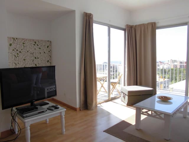 One-Bedroom Apartment - Penthouse · photo 3