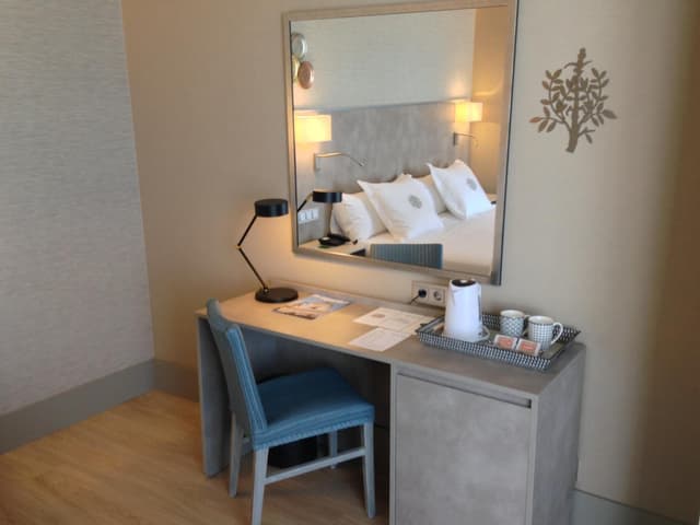 Deluxe Double or Twin Room with Terrace · photo 6