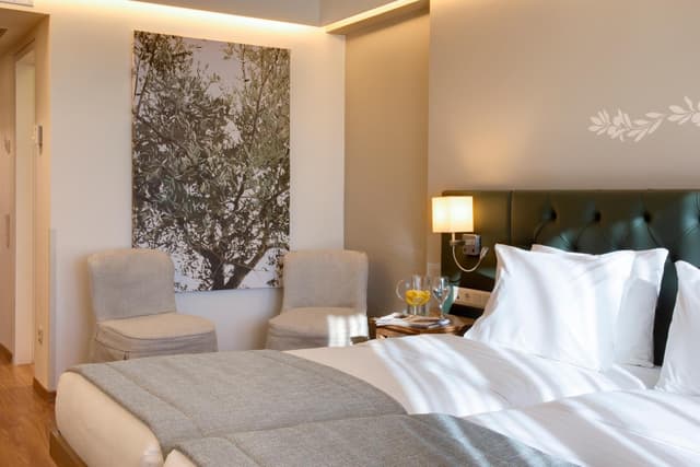 Superior Room Atrium View · photo 4