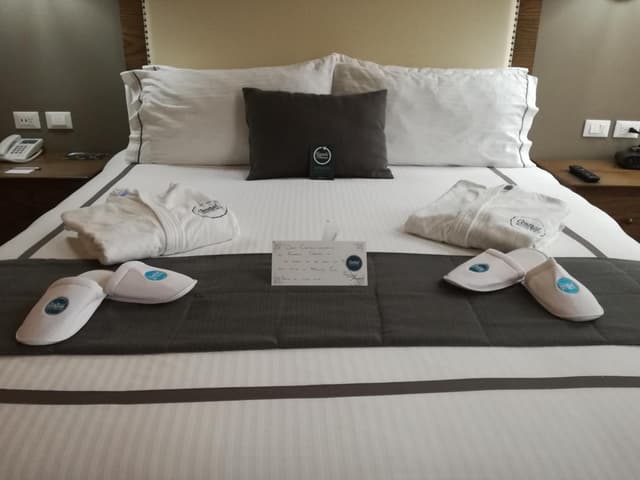 Double Room with Balcony · photo 8