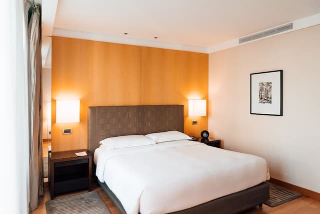 Park, Suite, 1 Bedroom · photo 3