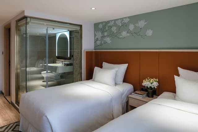 Deluxe Twin Room, City View · foto 3