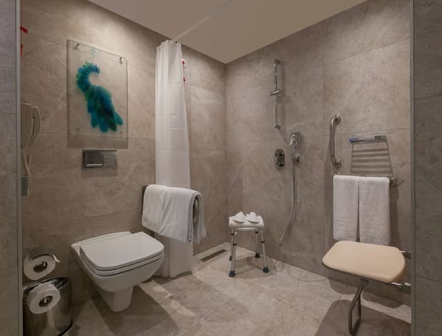Room, 1 Queen Bed, Accessible · foto 4