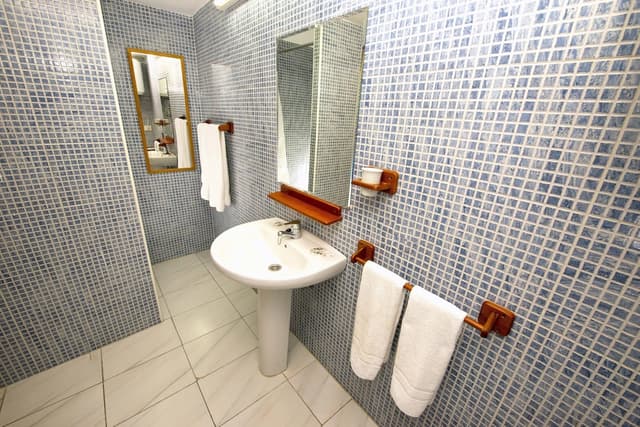 Basic Double Room · photo 5