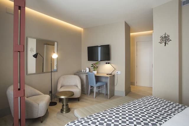 Deluxe Double Room · photo 3