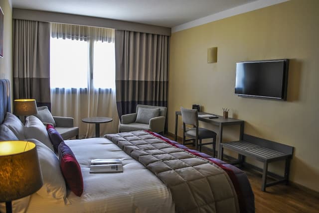 Superior Double Room, 1 King Bed · foto 1