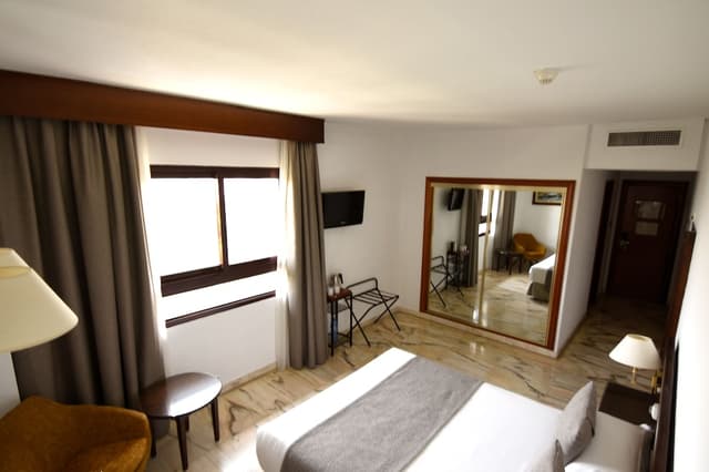 Double Room, 1 King Bed · foto 5