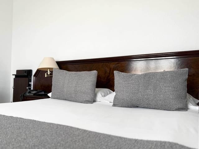 Double Room, 1 King Bed · foto 8