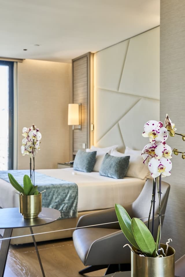Deluxe Room · photo 2