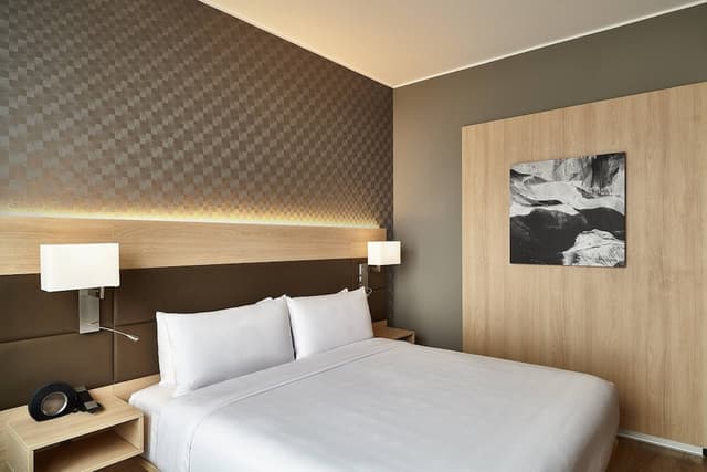 Room, 1 King Bed · photo 5