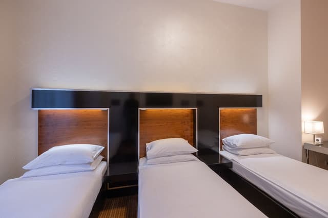 Superior Triple Room (Double room with Extra bed) · foto 5