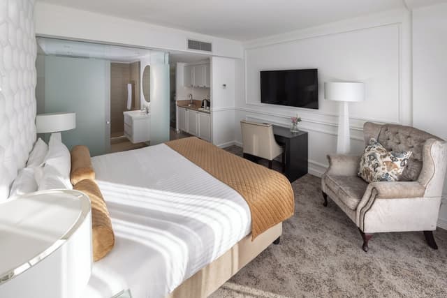Estudio Deluxe, 1 cama King · foto 1