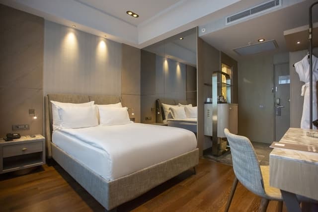Business Double Room · photo 4