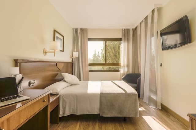 Double Room Single Use, 1 Twin Bed · foto 8