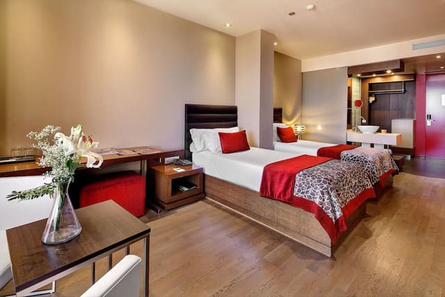 Standard Room, City View · foto 4