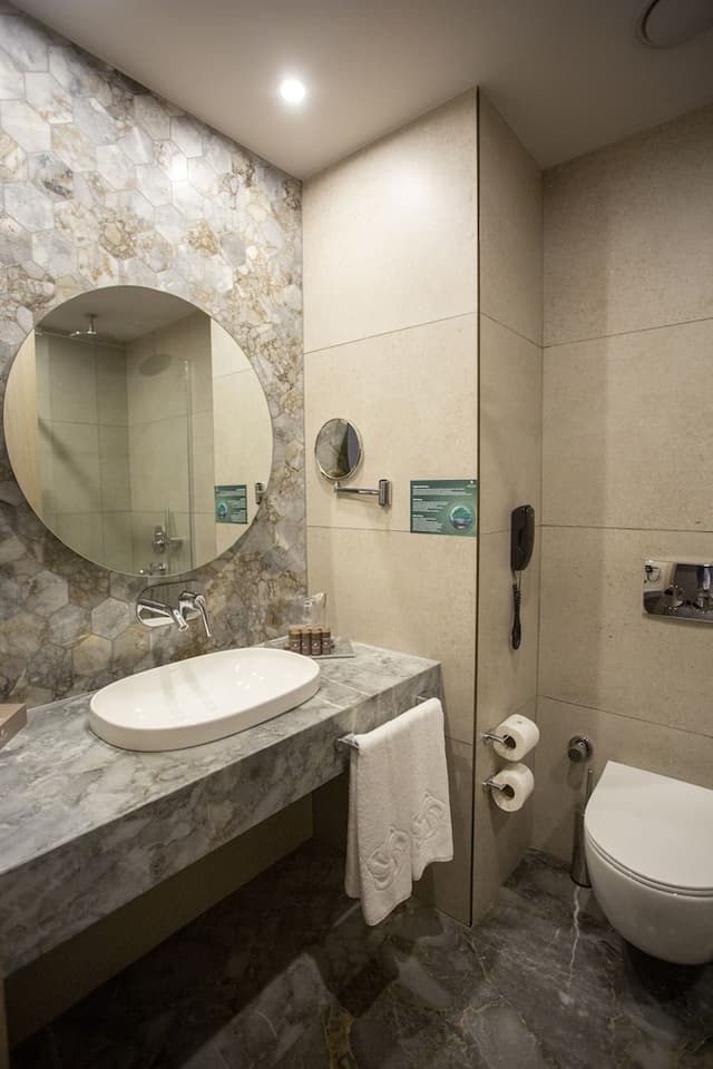 Deluxe Double Room · photo 4