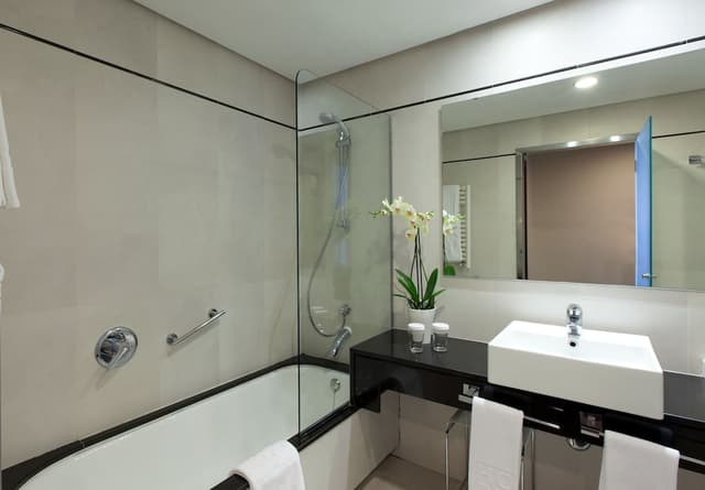 Standard Room (extra bed) · photo 7