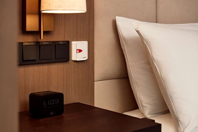Room, 1 King Bed, Accessible (Roll-In Shower) · foto 2