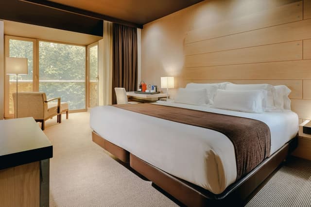 Superior Room · photo 7