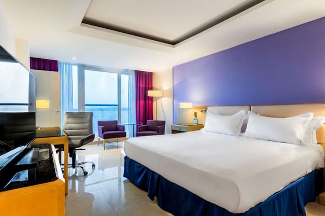 Room, 1 King Bed, Accessible, City View (Roll-In Shower) · foto 1