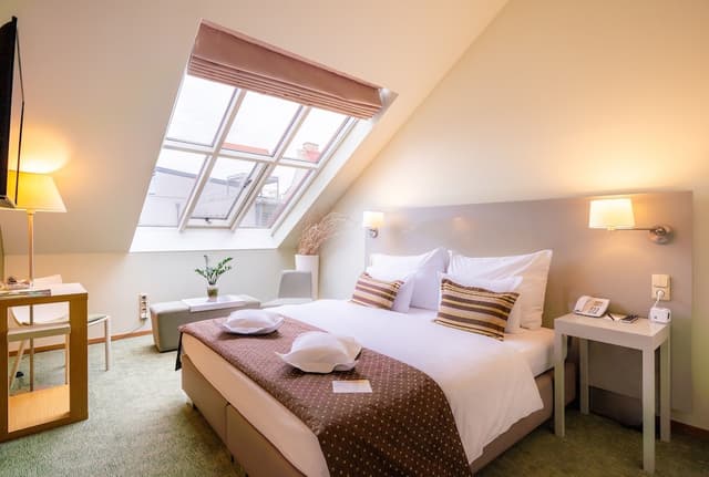 Deluxe Double or Twin Room · photo 6