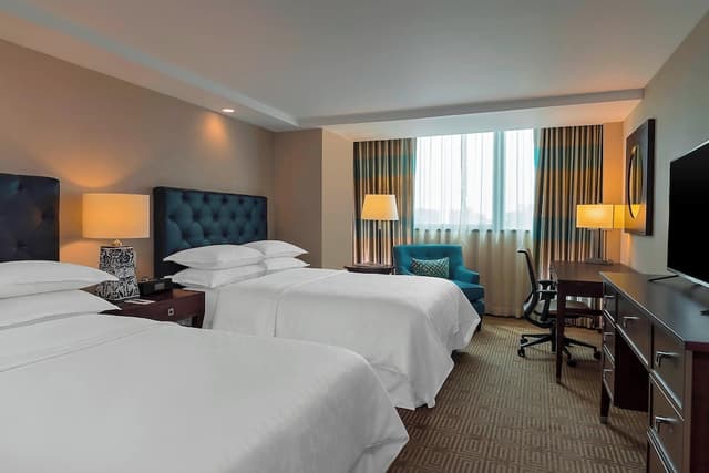 Deluxe Room, 1 Double Bed · foto 7