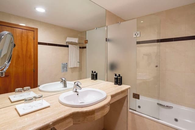 Deluxe Double Room Single Use · photo 5