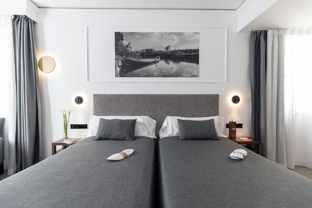 Deluxe Double or Twin Room · photo 6