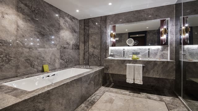 Deluxe Suite, 1 Bedroom · photo 3