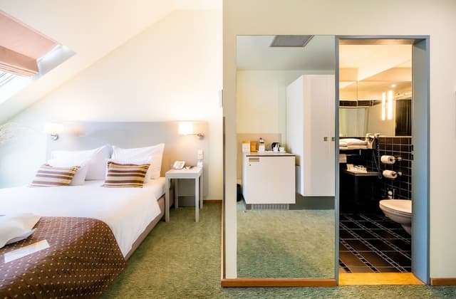 Deluxe Double or Twin Room · photo 2