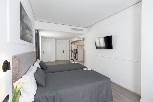 Deluxe Double or Twin Room · photo 5