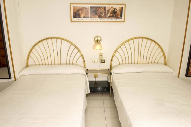 Basic Triple Room · photo 2