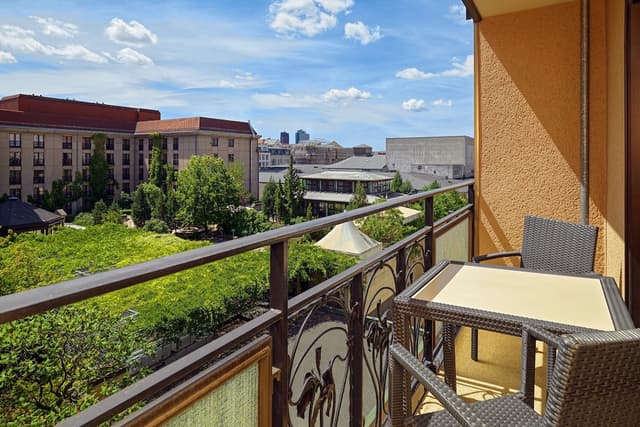 Superior Room, 1 King Bed, Garden View · foto 7