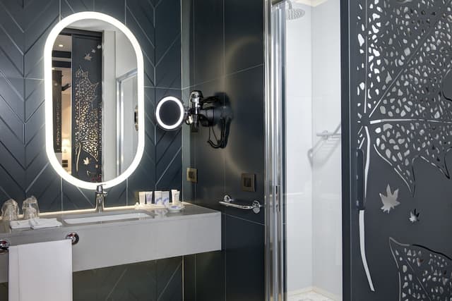 Deluxe Double or Twin Room, City View · photo 5